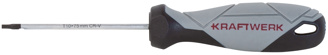 BASIC LINE screwdriver TX T10 x 75 mm