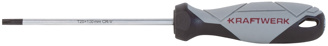 BASIC LINE screwdriver TX T20 x 100 mm