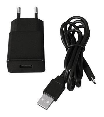 Charger IN AC 100-240V / OUT DC 5V/1A, Mini-USB